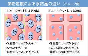 凍結速度による氷結晶の違い（イメージ図）